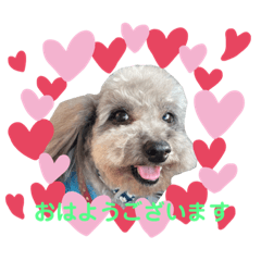 まなちゃんのわんわんスタンプ2