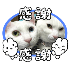 ようちゃんちのイケにゃんず！Part2