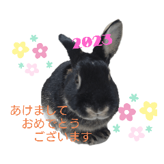 うさぎのそら2023