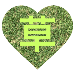 よく使うのは食べる木の実