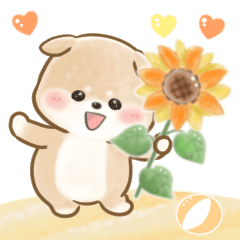 動かないわんチャイ♡日本の夏