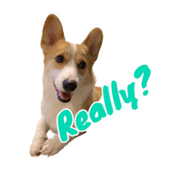 むぎさんスタンプ①