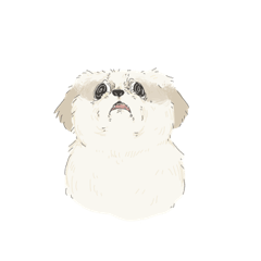 いろいろな犬ども