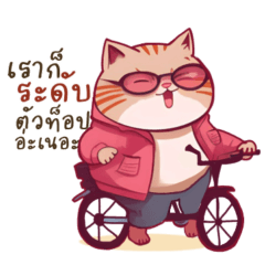 Taiker (The wily cat)