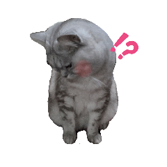 レオだってスタンプになりたい