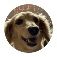 ゆきといっしょ　ver.1