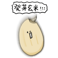 シンプル 発芽玄米 日常会話