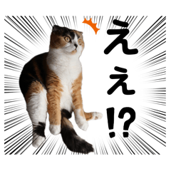 ネコのスタンプ③