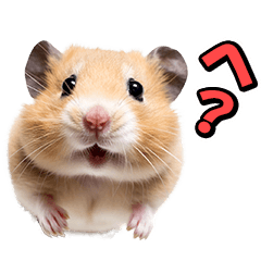 リアル⭐️可愛いハムスター