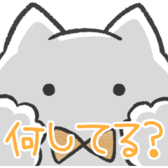 オレンジ推しねこ(報告)