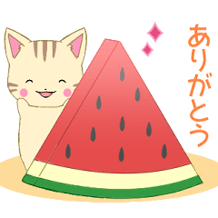 飛び出す！ちびにゃんこ11【夏】