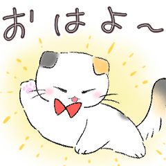 ゆるゆる♡スコティッシュフォールド