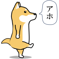 激しく尻尾をふる柴犬❤