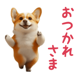 踊る！コーギー