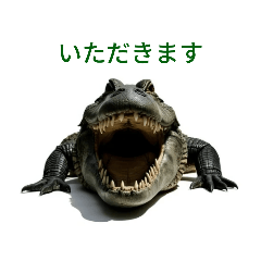 生き物（リアル）