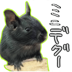 なかよしデグーワールド 4