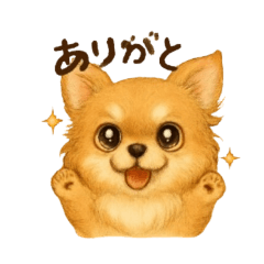 チワワのなぽりたん