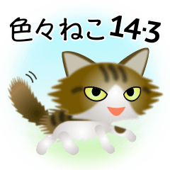 色々な猫14-3 長毛-立ち耳-キジトラ白