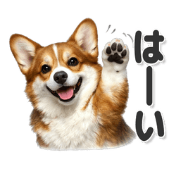 毎日使える！ コーギー