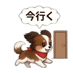 ずっと使える♡パピヨン/日常スタンプ