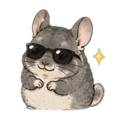 Chinchilla Mochi Life