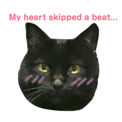 まさむねくんメッセージ付