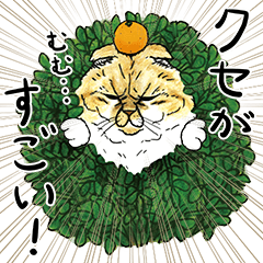 世にも不思議な猫世界４