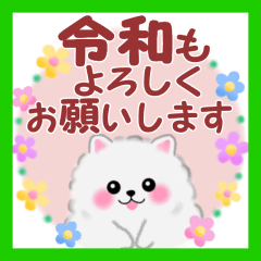 令和だよ♪ポメラニアンぽちゃん