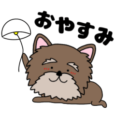 毎日使える ヨークシャテリアのよーちゃん