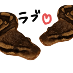 ボールパイソン♡らくがきスタンプ２