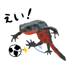 実は表情豊かなアカハライモリくん