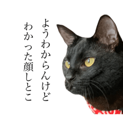 がんもとのくと2