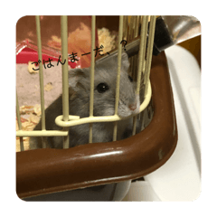 ハムスターによるハムスタースタンプ