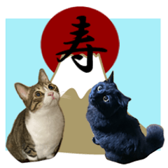 家のくうと風太のクリスマスと正月