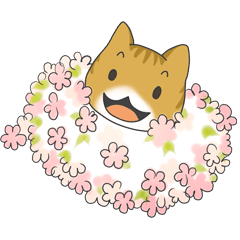 ゆるゆるにゃんこ