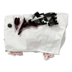 みーちゃんの写真