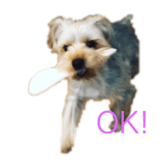 シカ丸くんダッシュ！