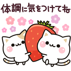 気づかいのできるネコ♪ 動く春＆健康編