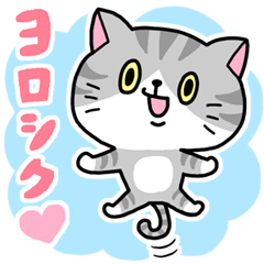 ねこ詰め合わせ