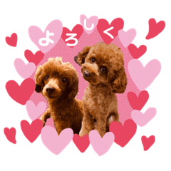 佐藤もちあず♡