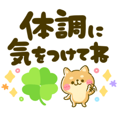 コロナに負けるなと叫ぶ豆柴‼︎