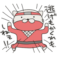 ねこ忍　白左衛門と愉快な仲間達