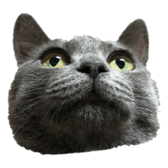 ゆずちゃんＳ''