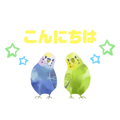 挨拶する文鳥