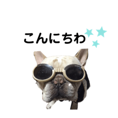 蘭丸くん②あいさつ編