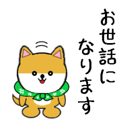 豆いぬ1 (敬語編)