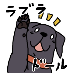 ラブラドール！