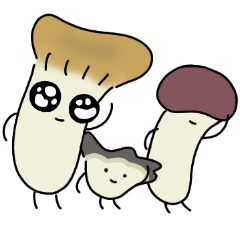 きのこのある生活