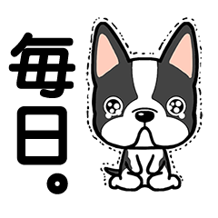 毎日ワンコ
