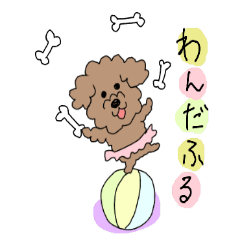 いつもモフモフ気分屋ショコちゃん